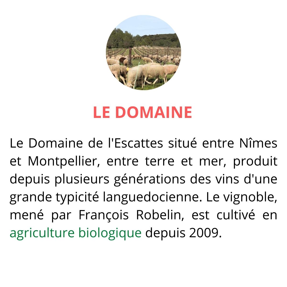 domaine de l escattes les parcelles