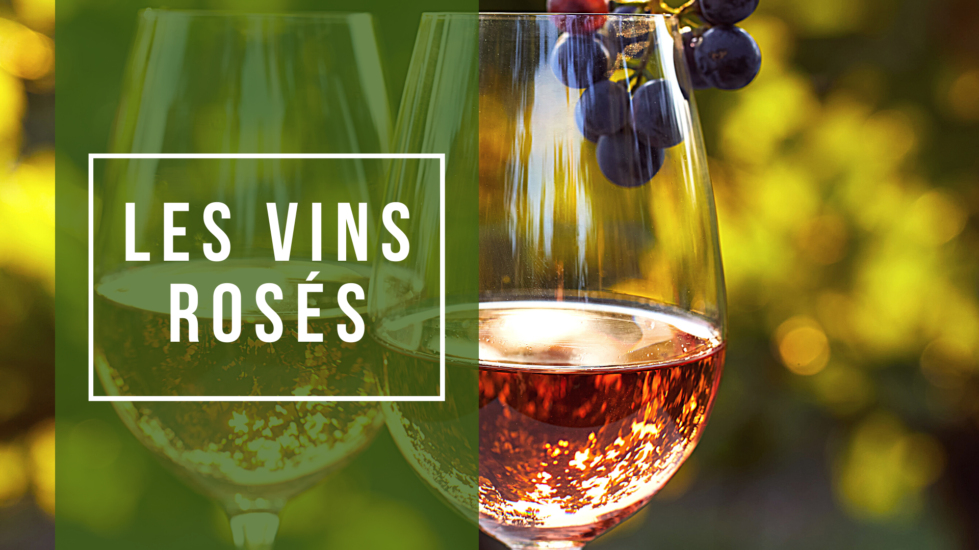 vins roses bio