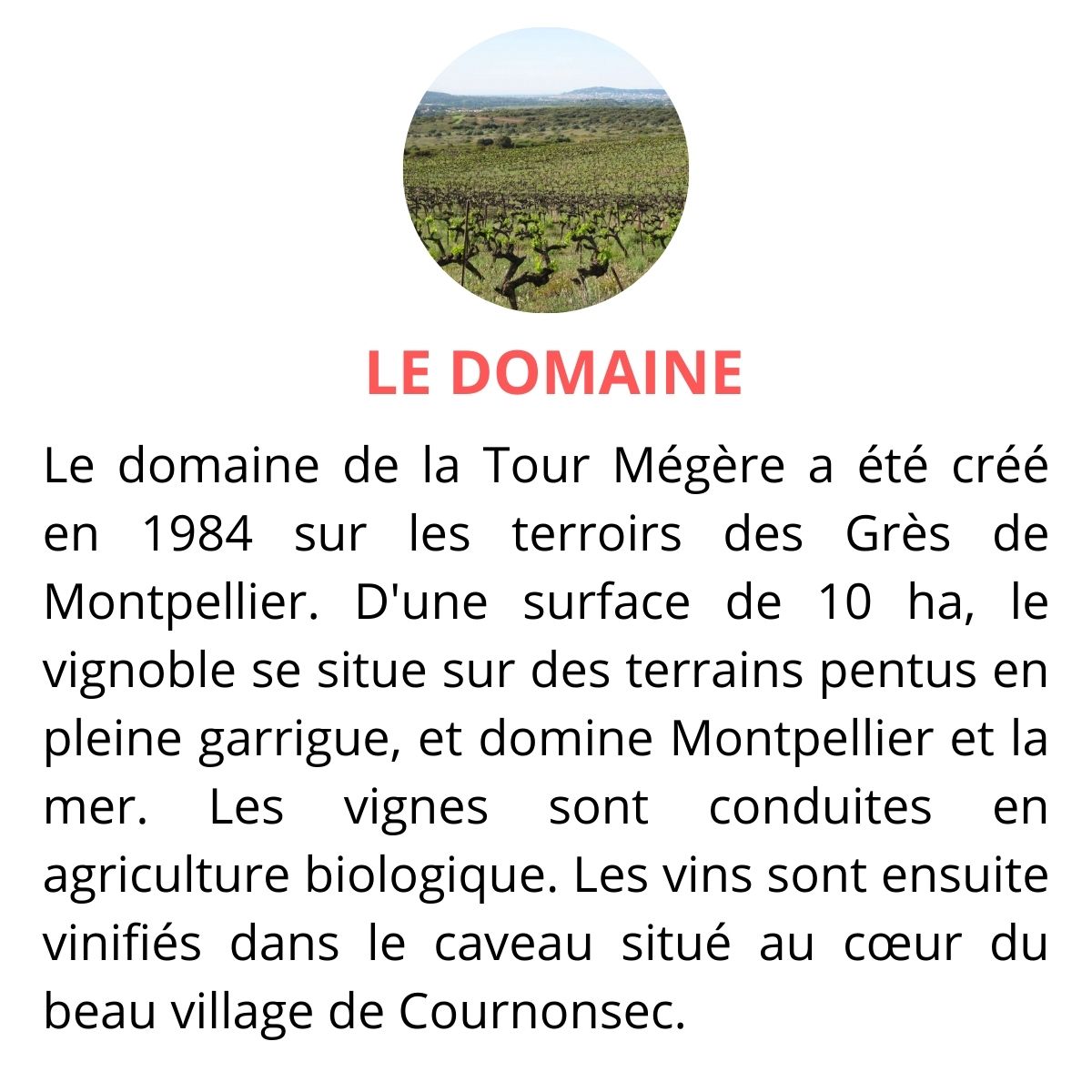 domaine la terre megere