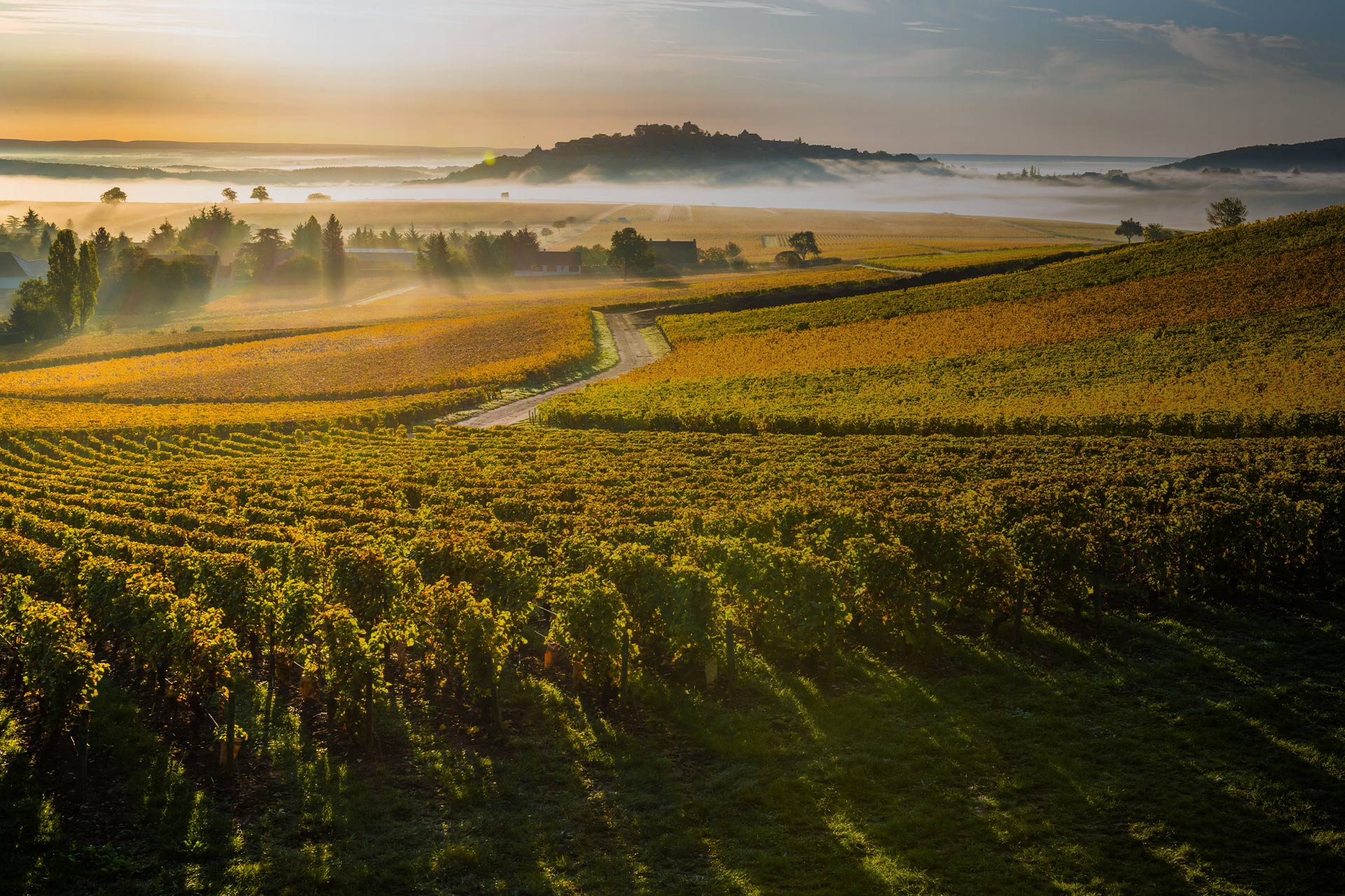 fournier sancerre