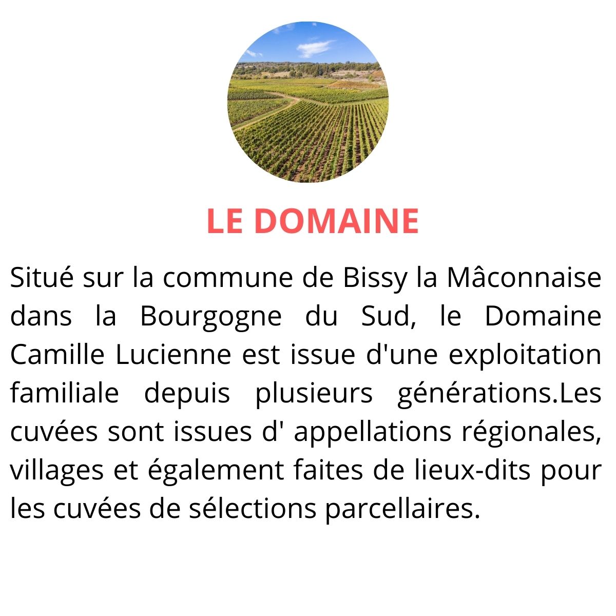 domaine camille lucienne