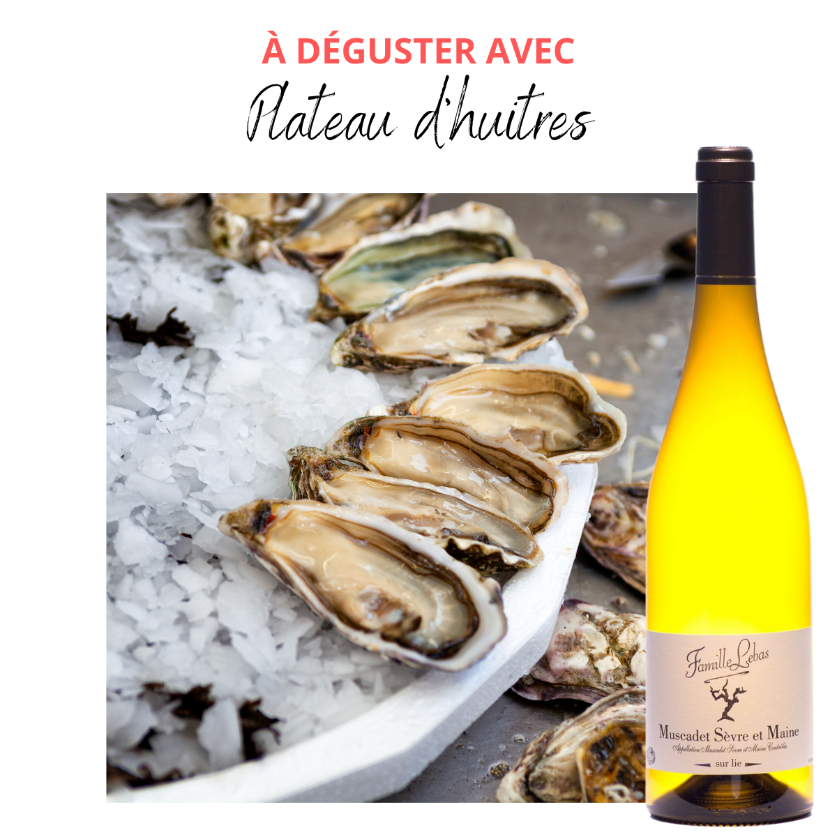Le vin, le paysage et le temps : trois regards sur le Muscadet.