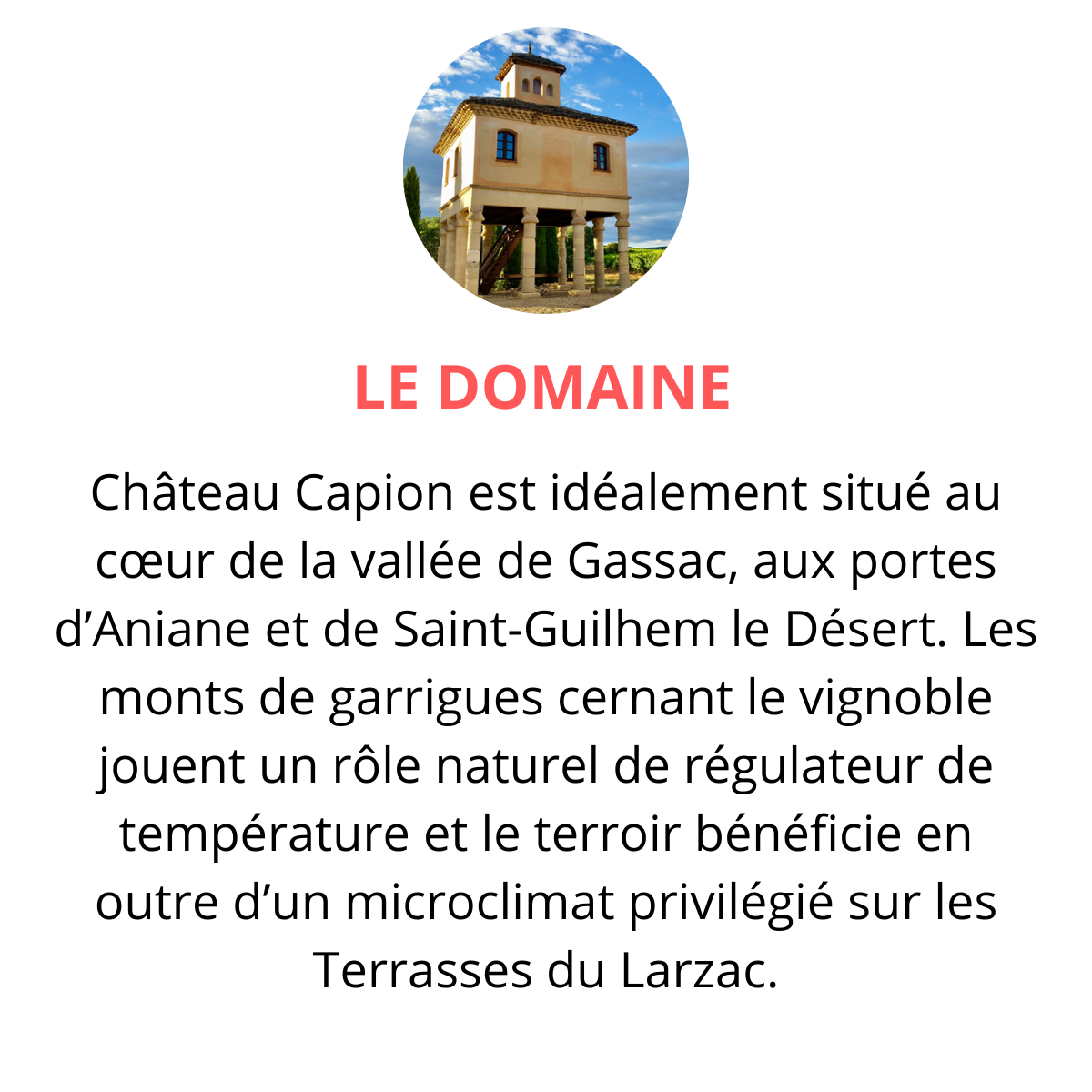 chateau capion terrasses du larzac