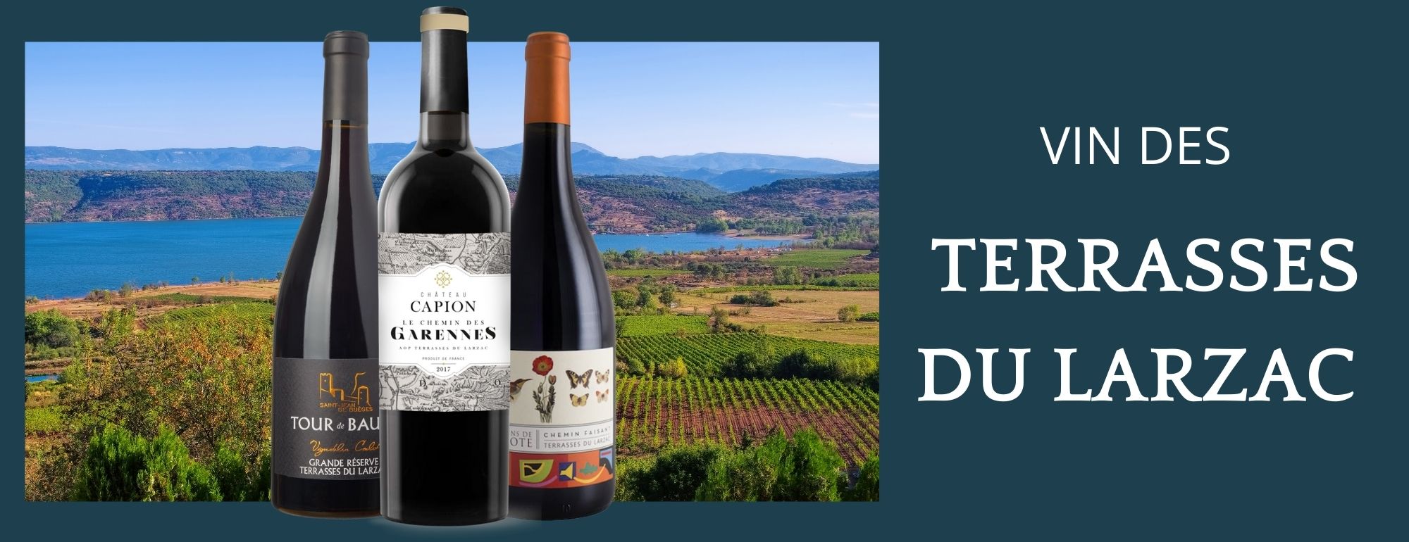 vins des terrasses du larzac achat