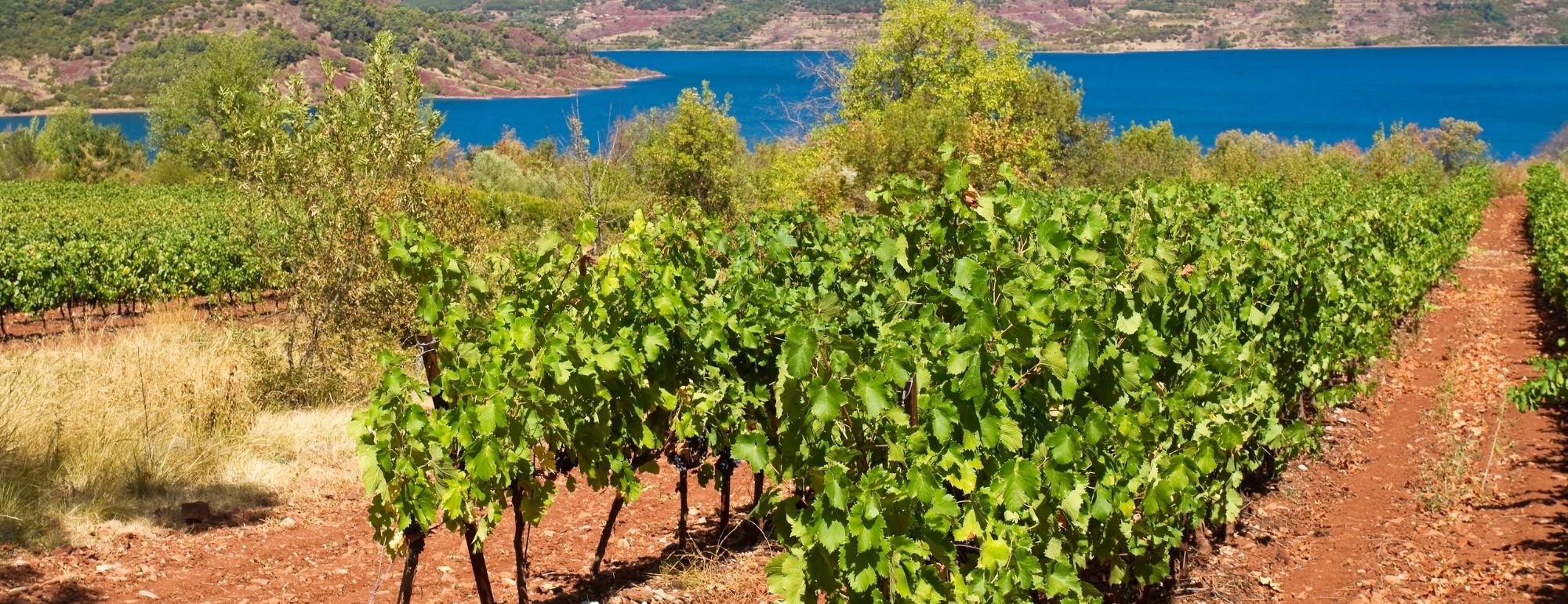 lac du salagou terrasses du larzac