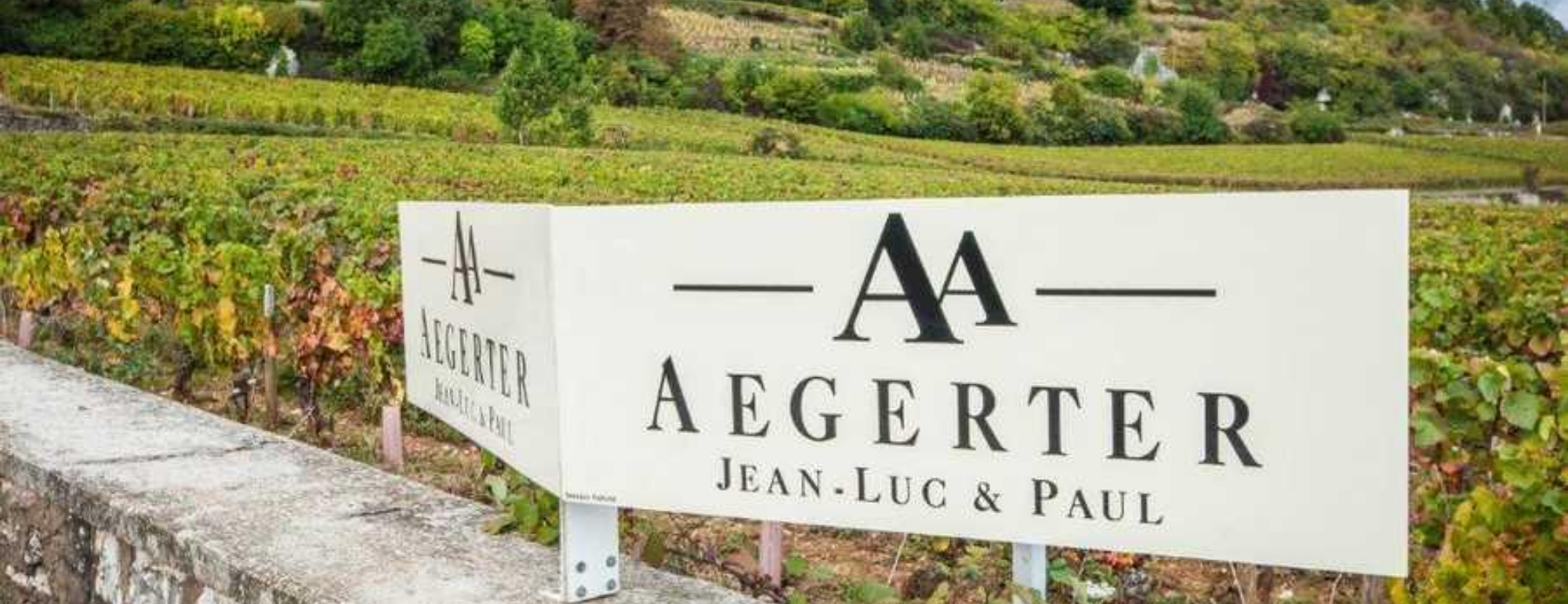 negociant bourgogne