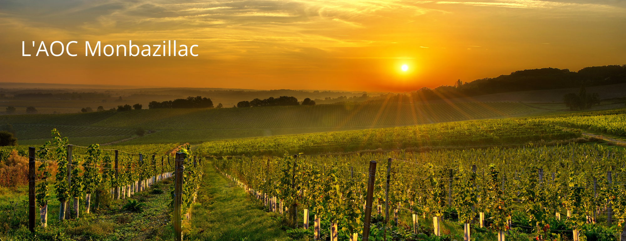 aoc monbazillac