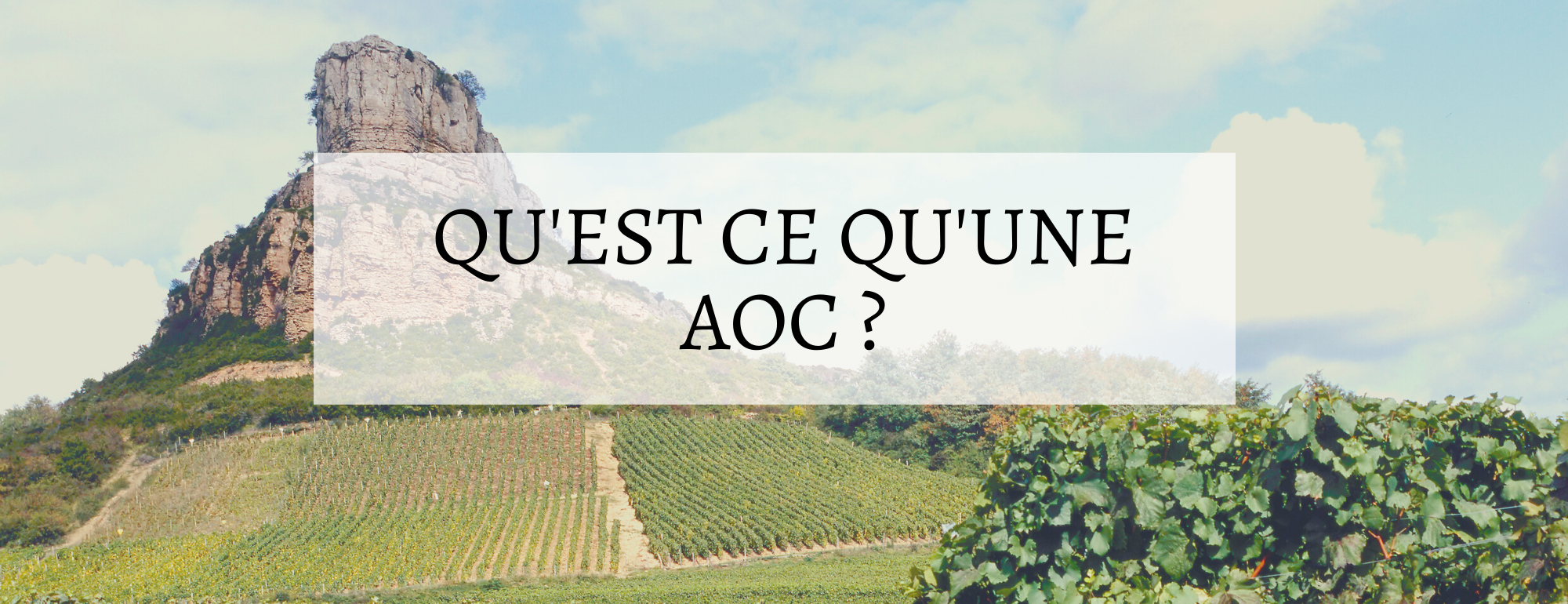 qu est ce qu une aoc