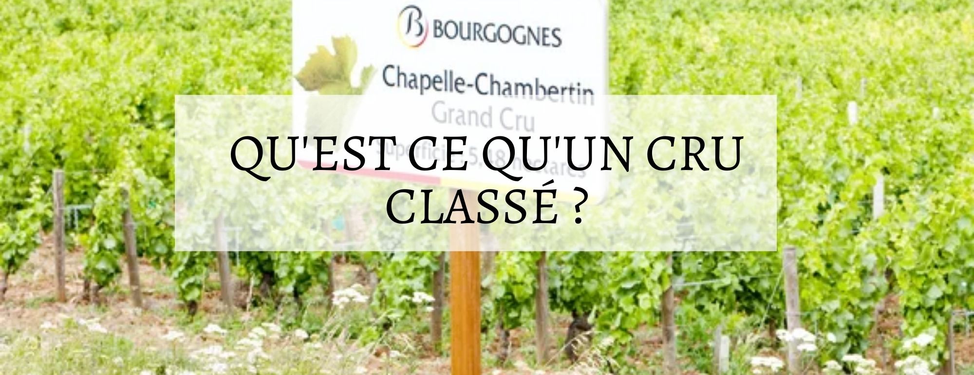 qu est ce qu un cru classe