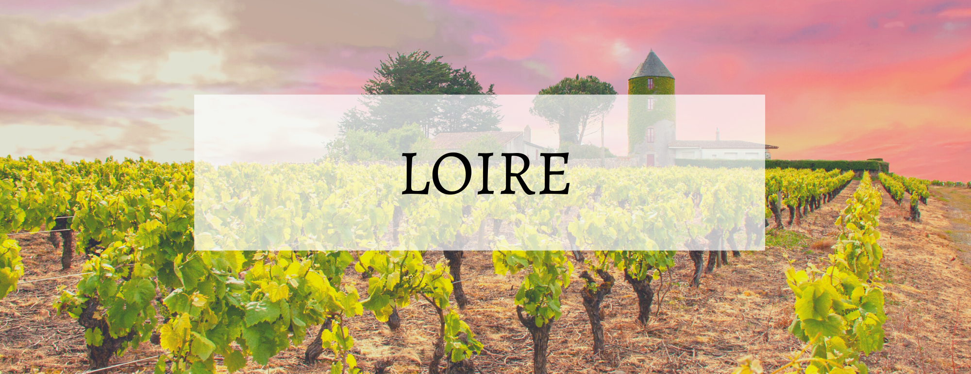 vins de loire