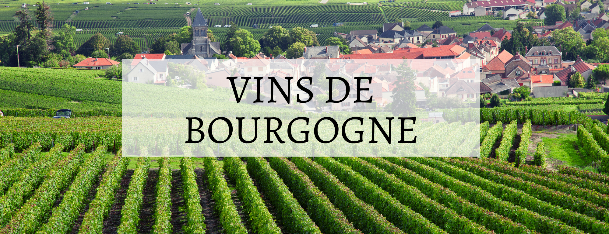 vins de bourgogne