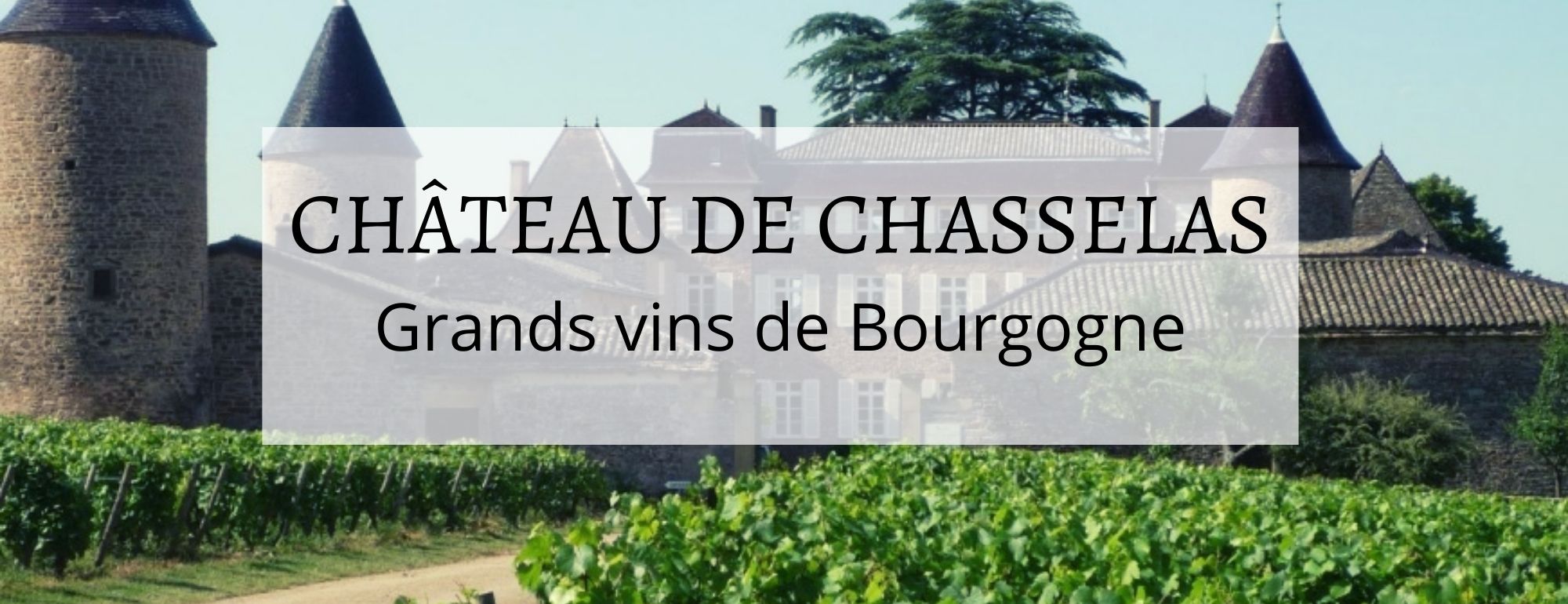 chateau de chasselas