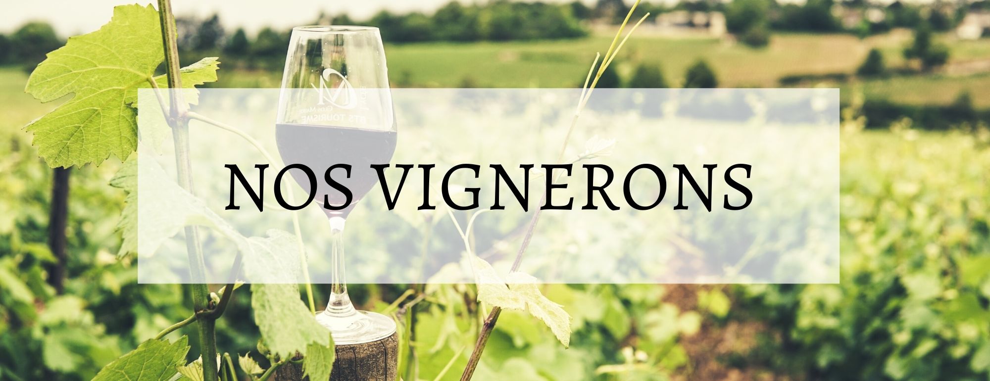 nos vignerons corses