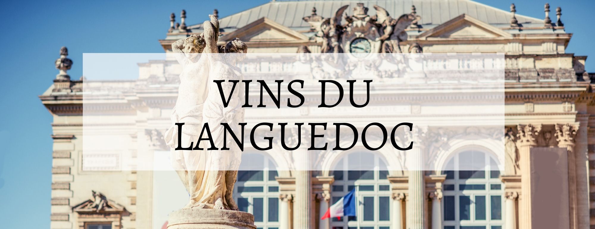 vins du languedoc
