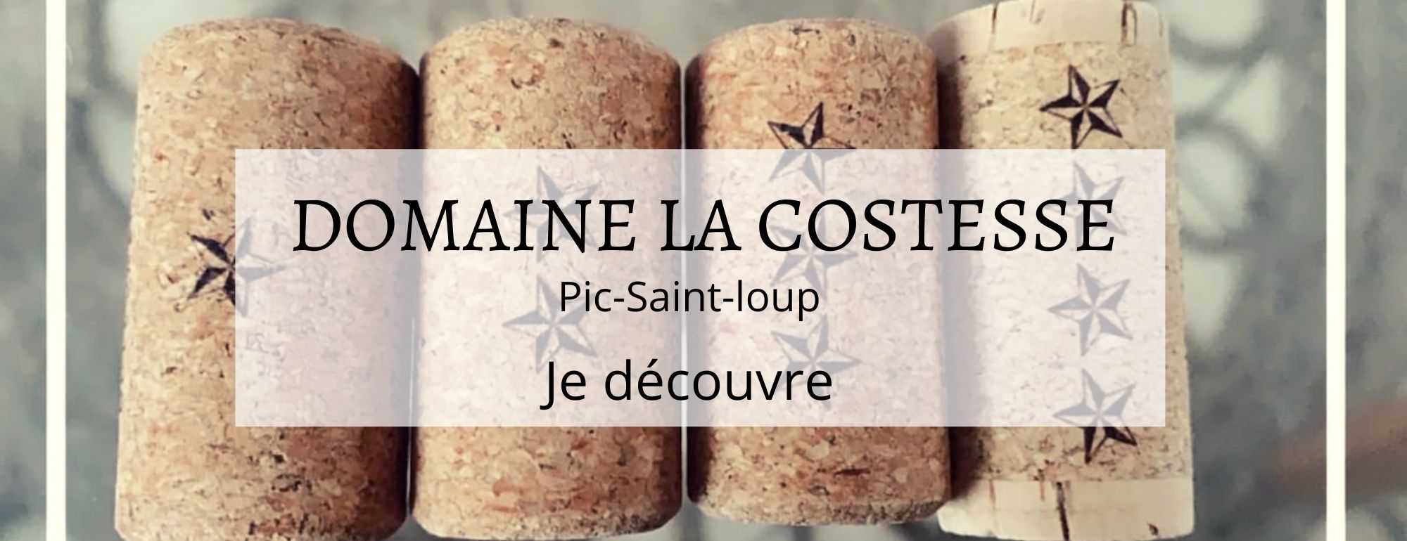 pic saint loup domaine la costesse