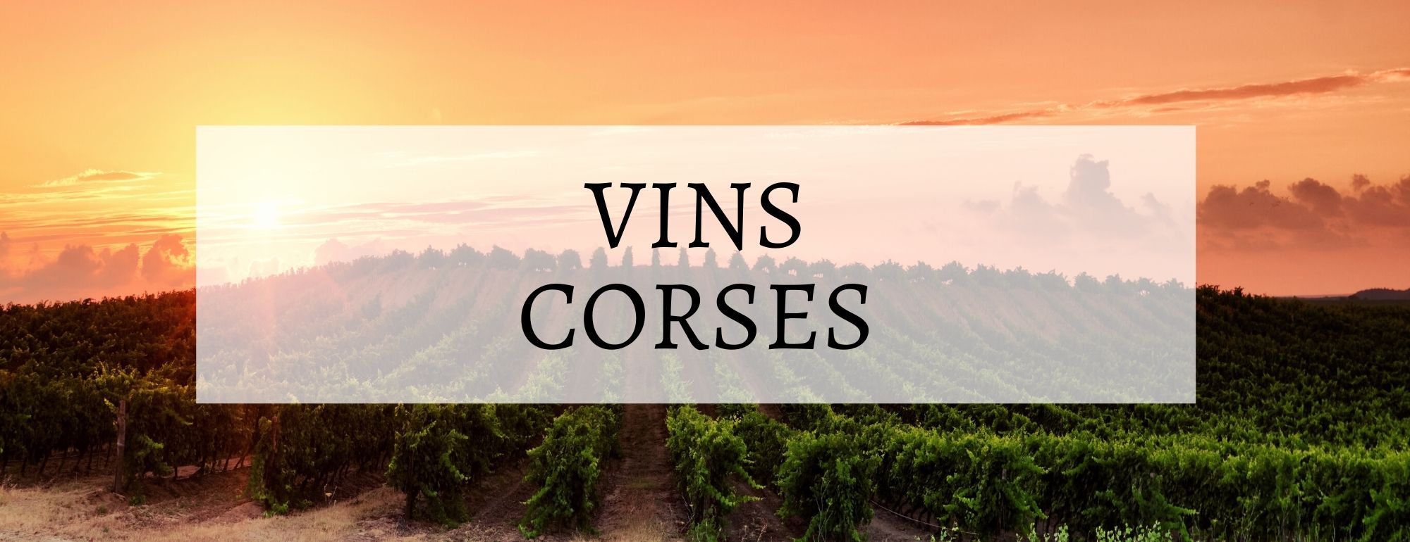 vins corses