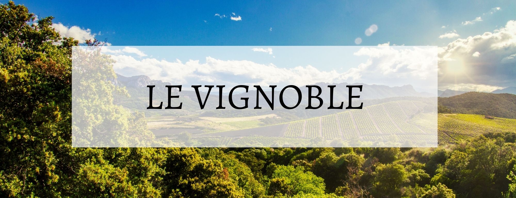 vins du roussillon