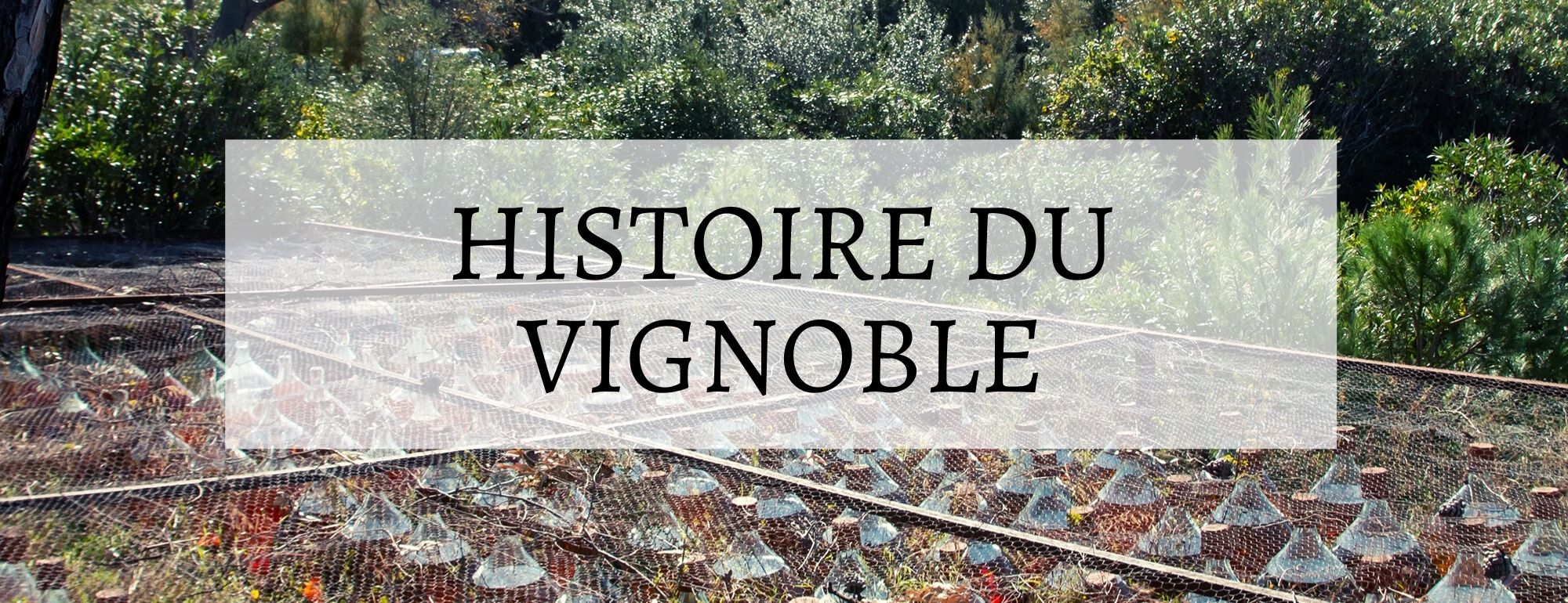 vins du roussillon