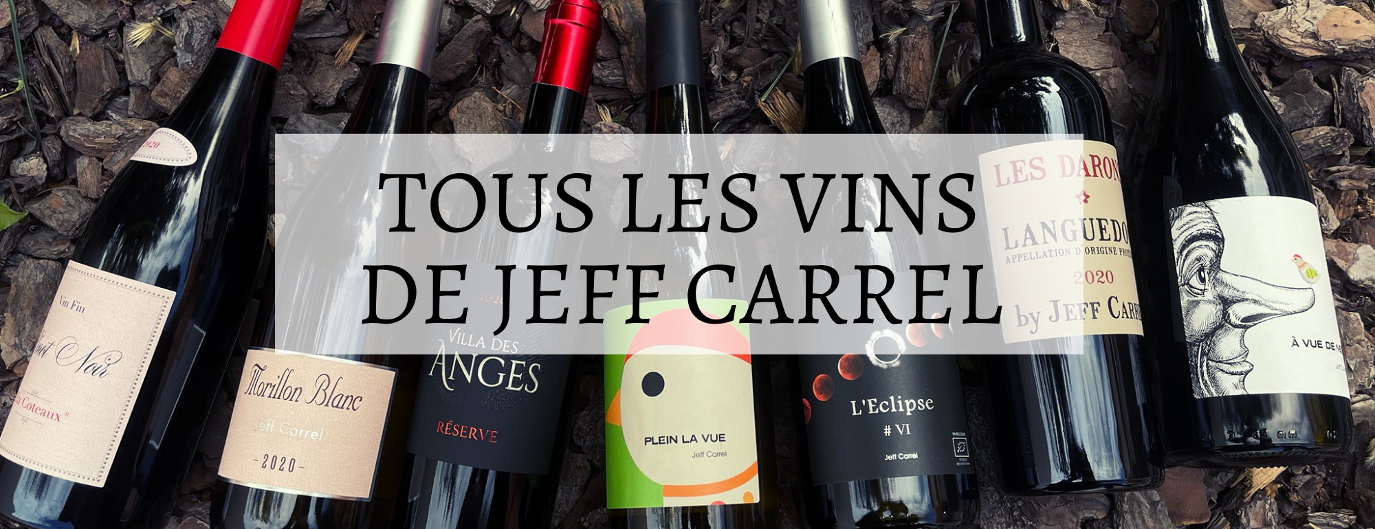 jeff carrel