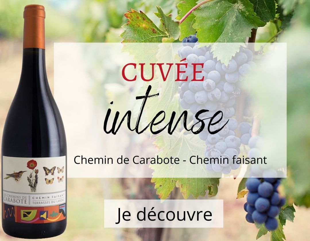 chemin de carabote chemin faisant