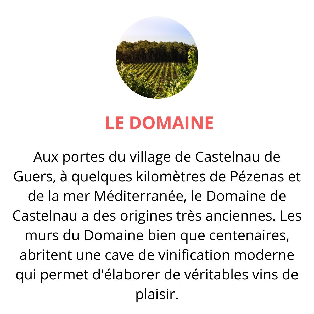 domaine de castelnau