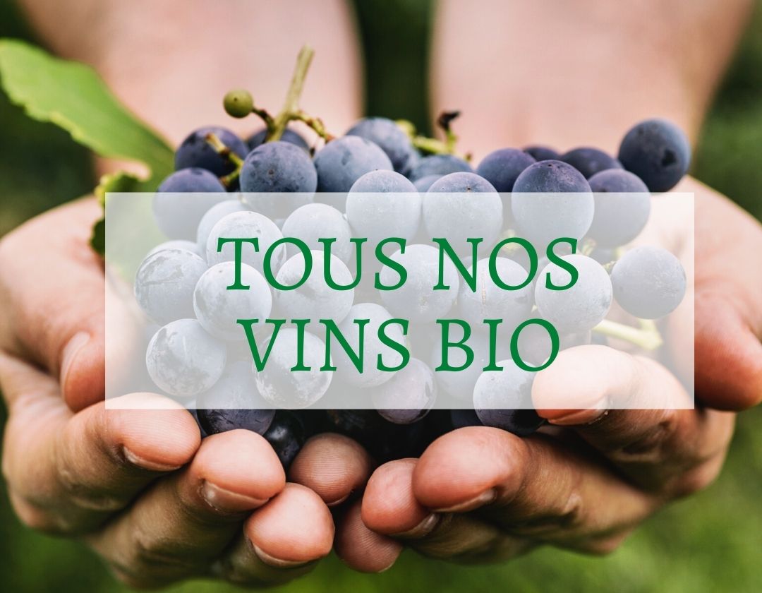 les vins bio