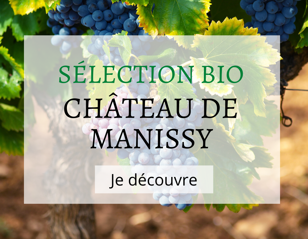 chateau de manissy
