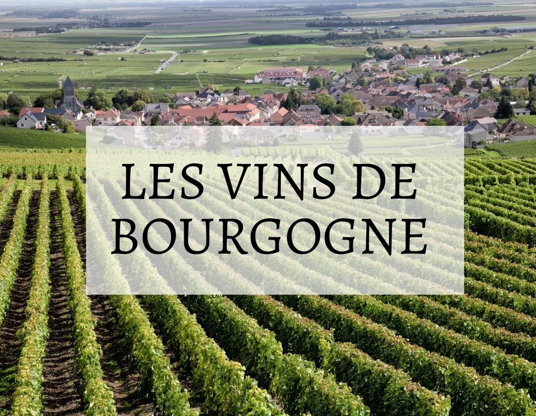 vins de bourgogne