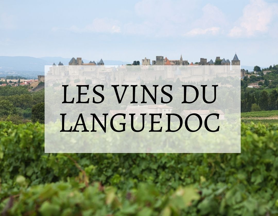 vins du languedoc