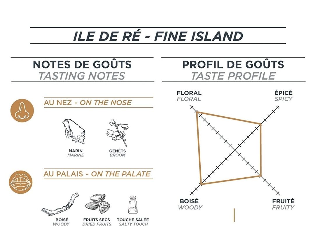 ile de re camus