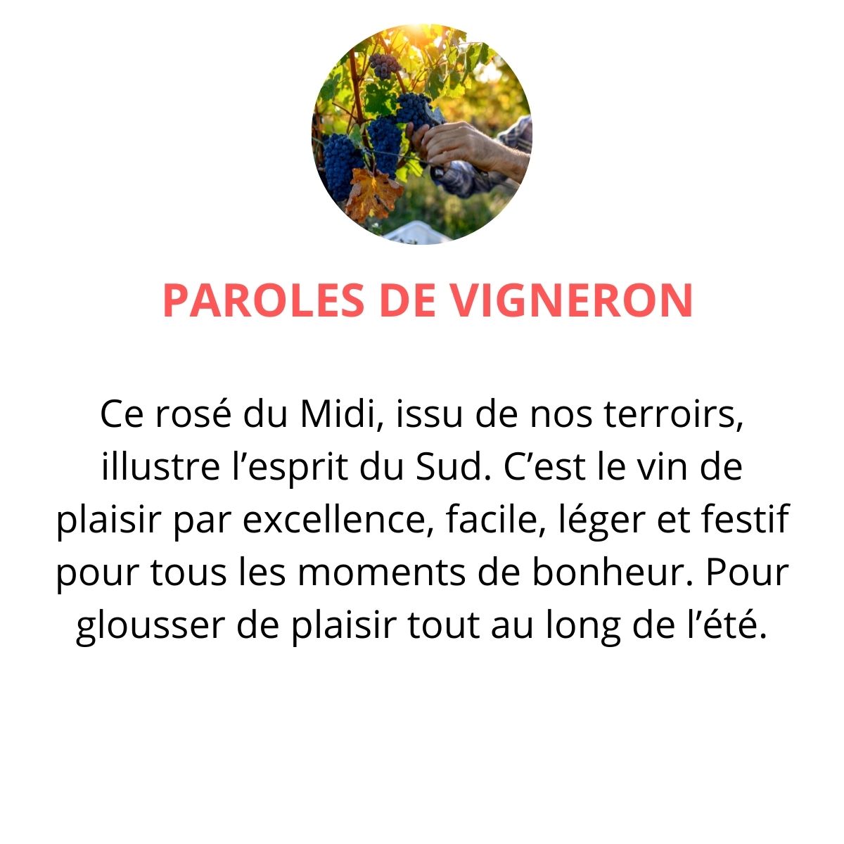 domaine fabre gouyric