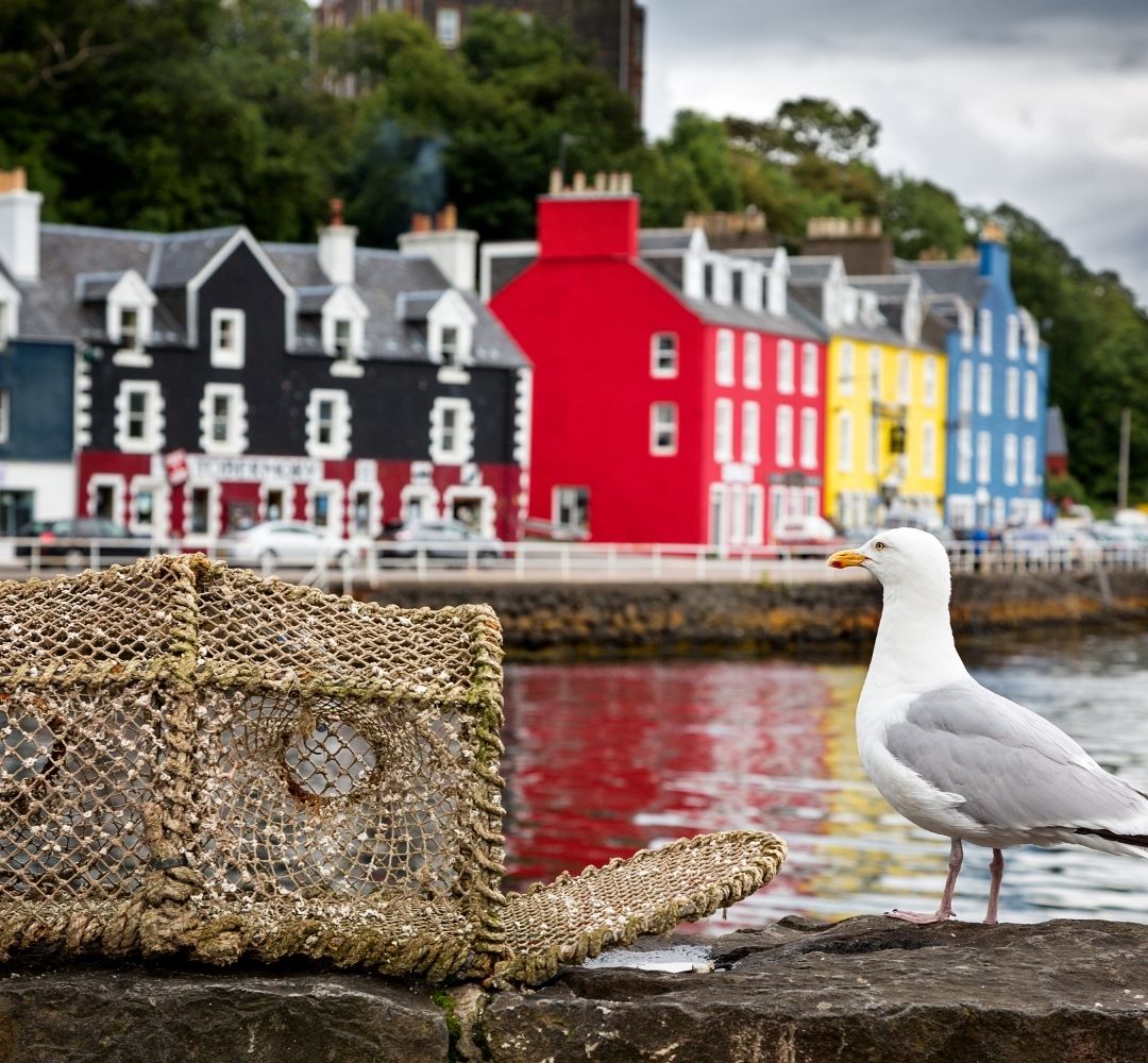 tobermory