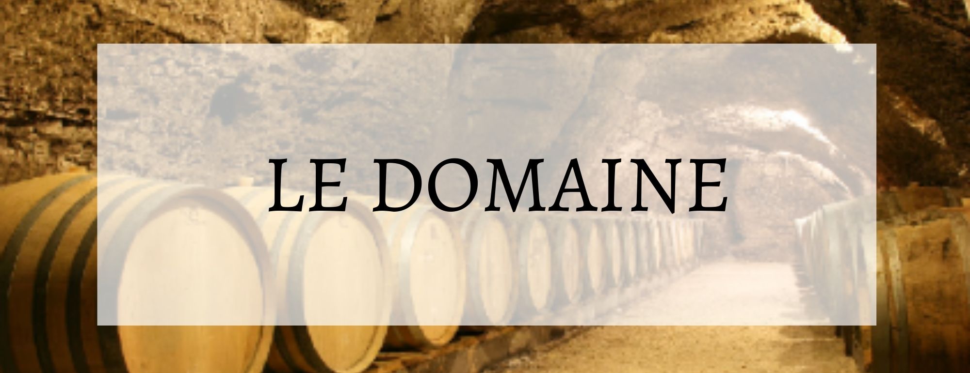 ledomaine vincent
