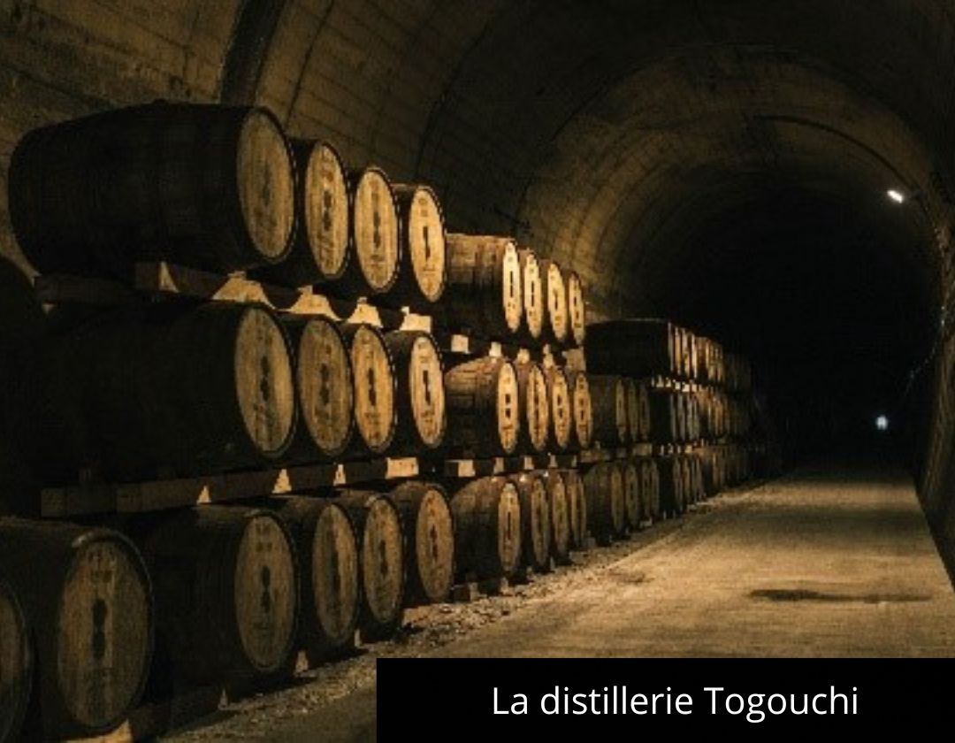 togouchi
