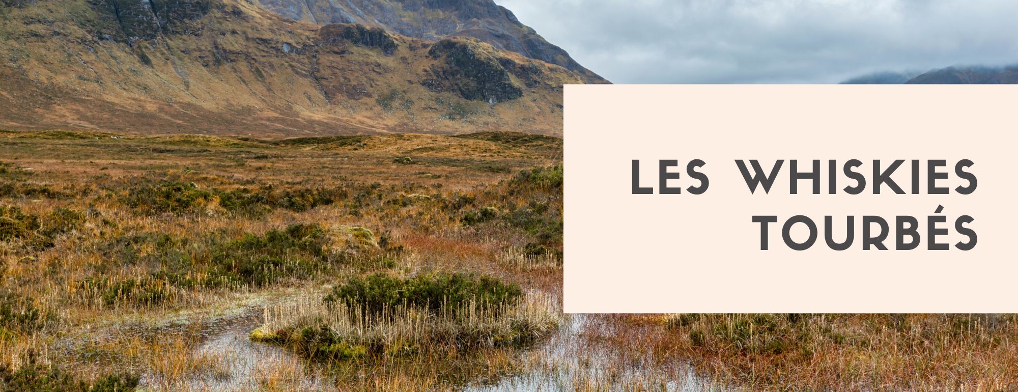 les whiskies tourbes