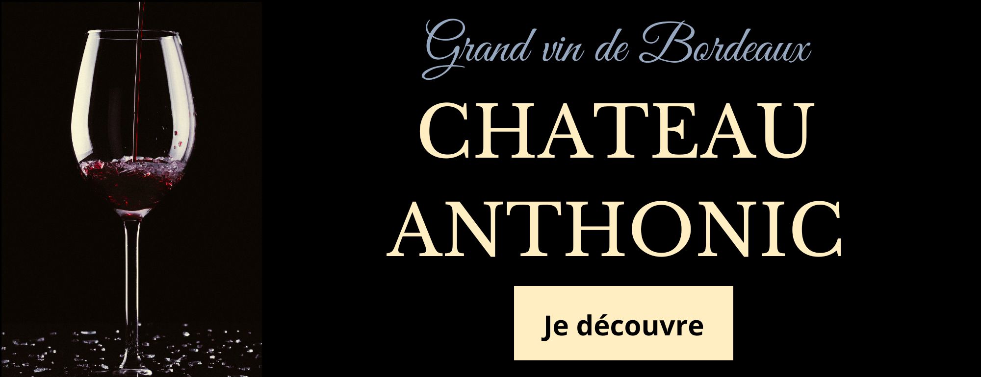 chateau anthonic