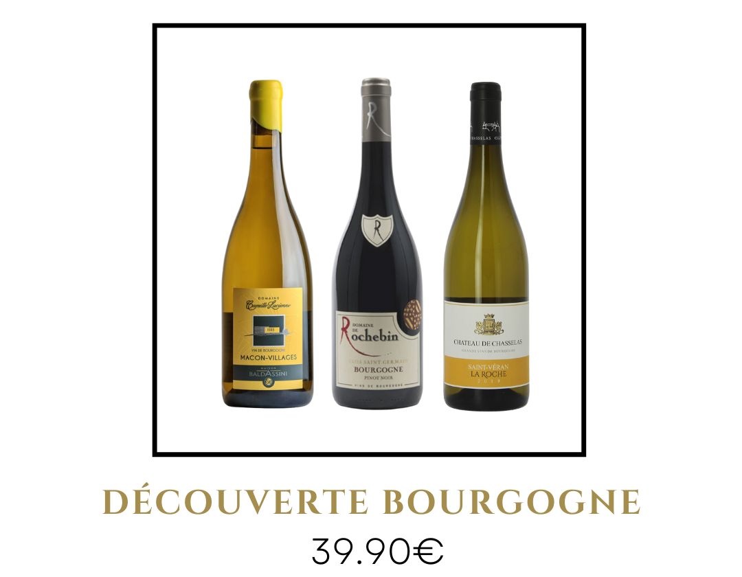 decouverte bourgogne