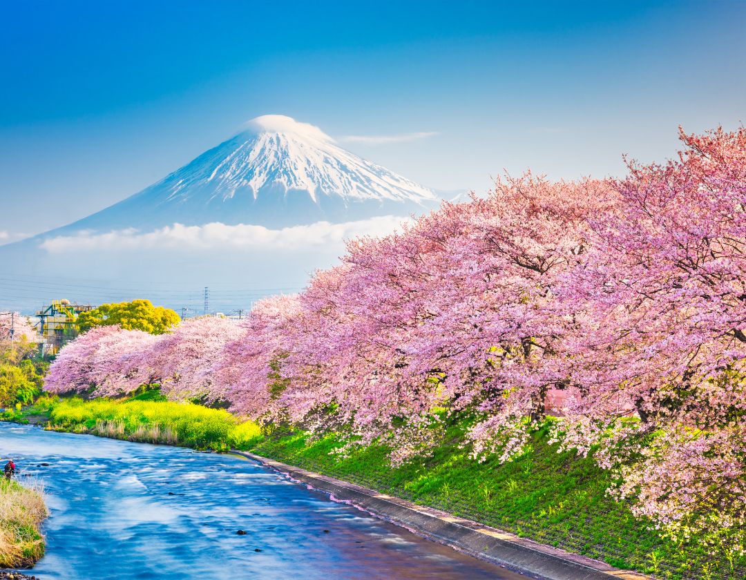 japon nature