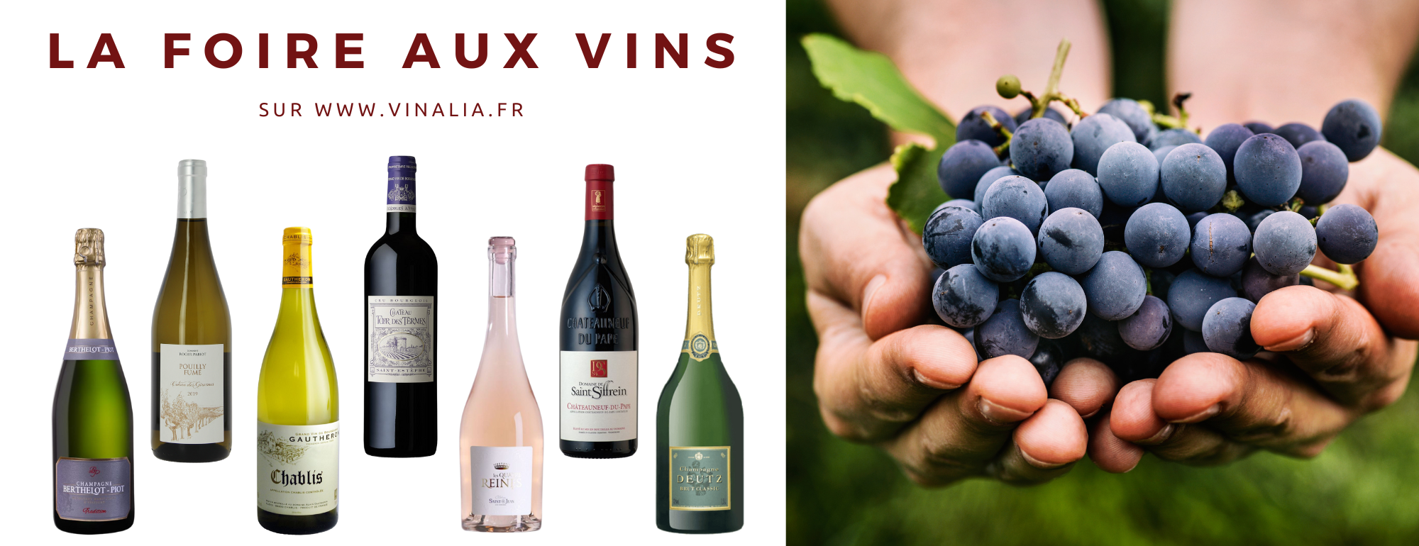 la foire aux vins