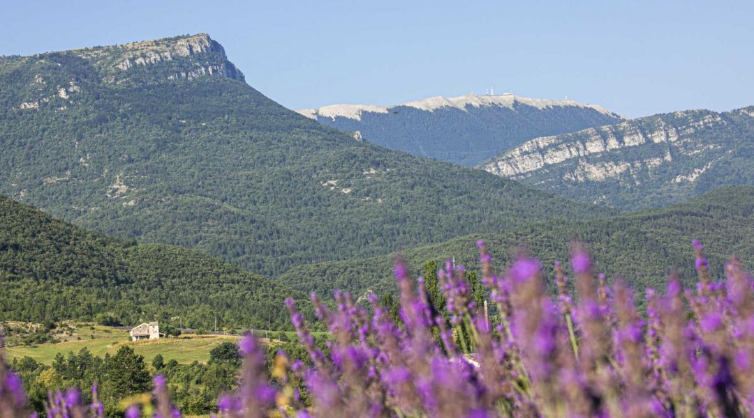 montagne de lure