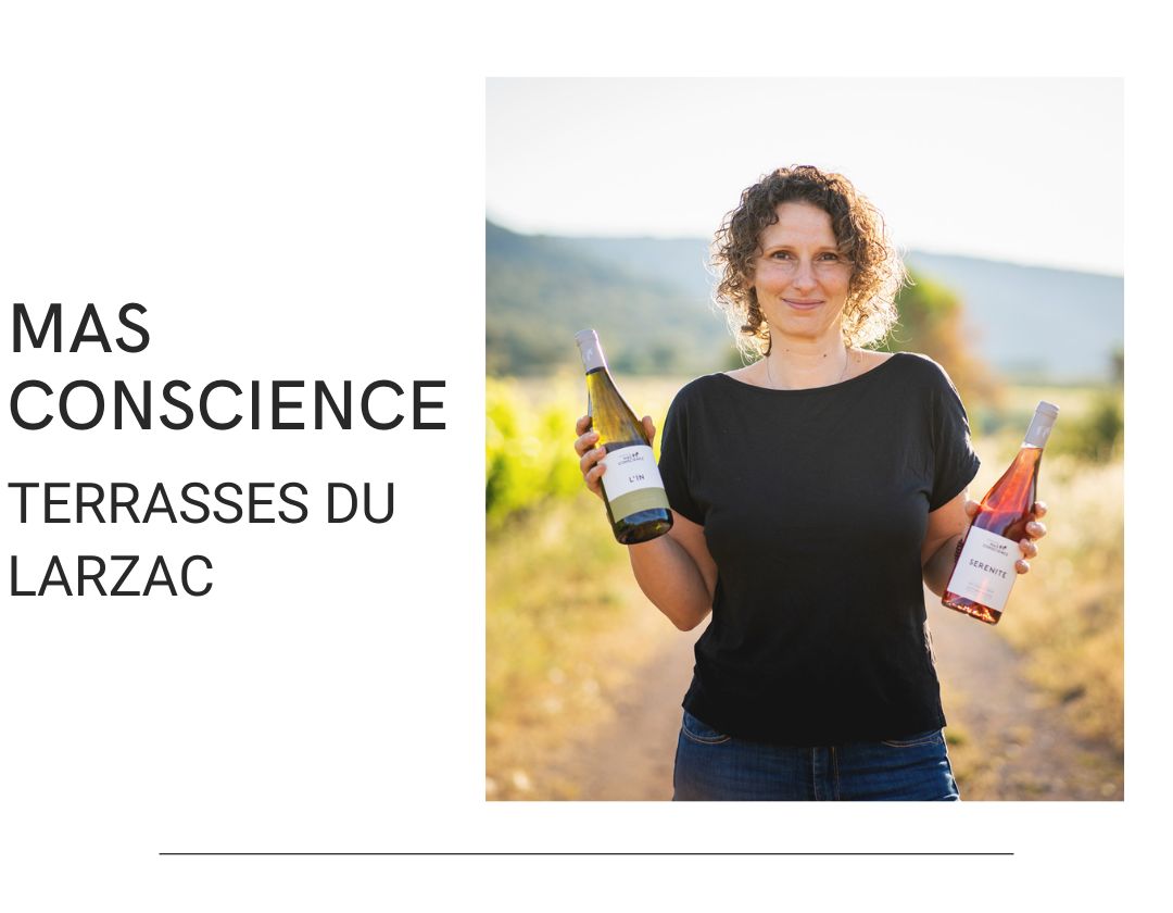 mas conscience domaine