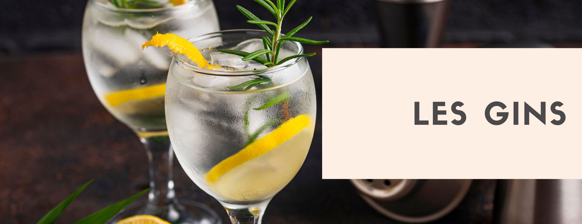 les gins