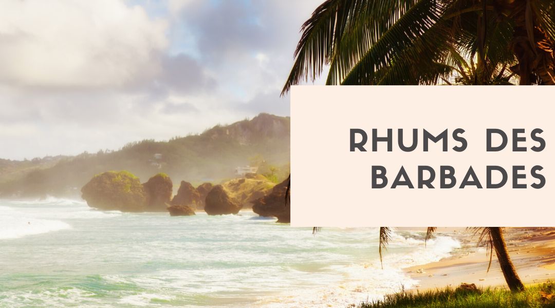 barbades rhums