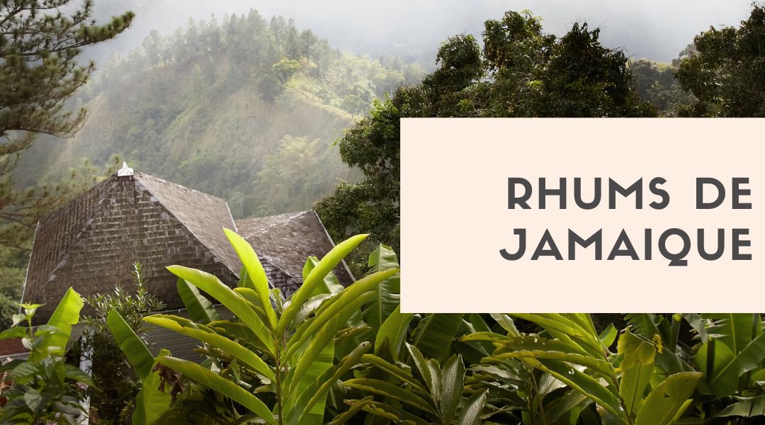 jamaique rhums