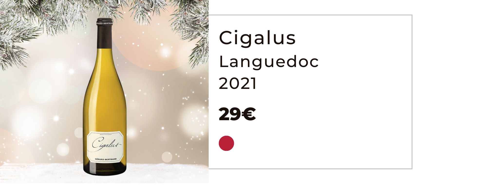 cigalus