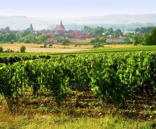 chablis