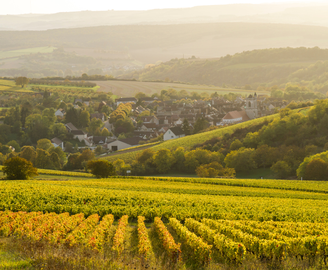 climatbourgogne