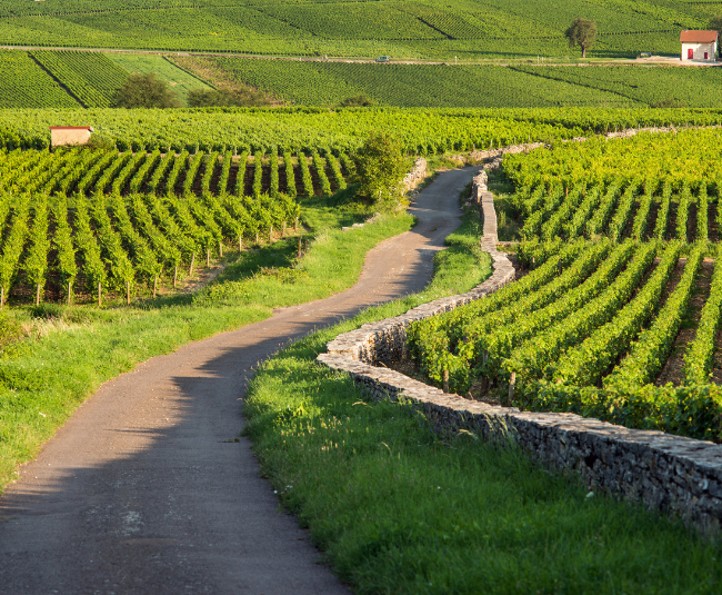 climats bourgogne