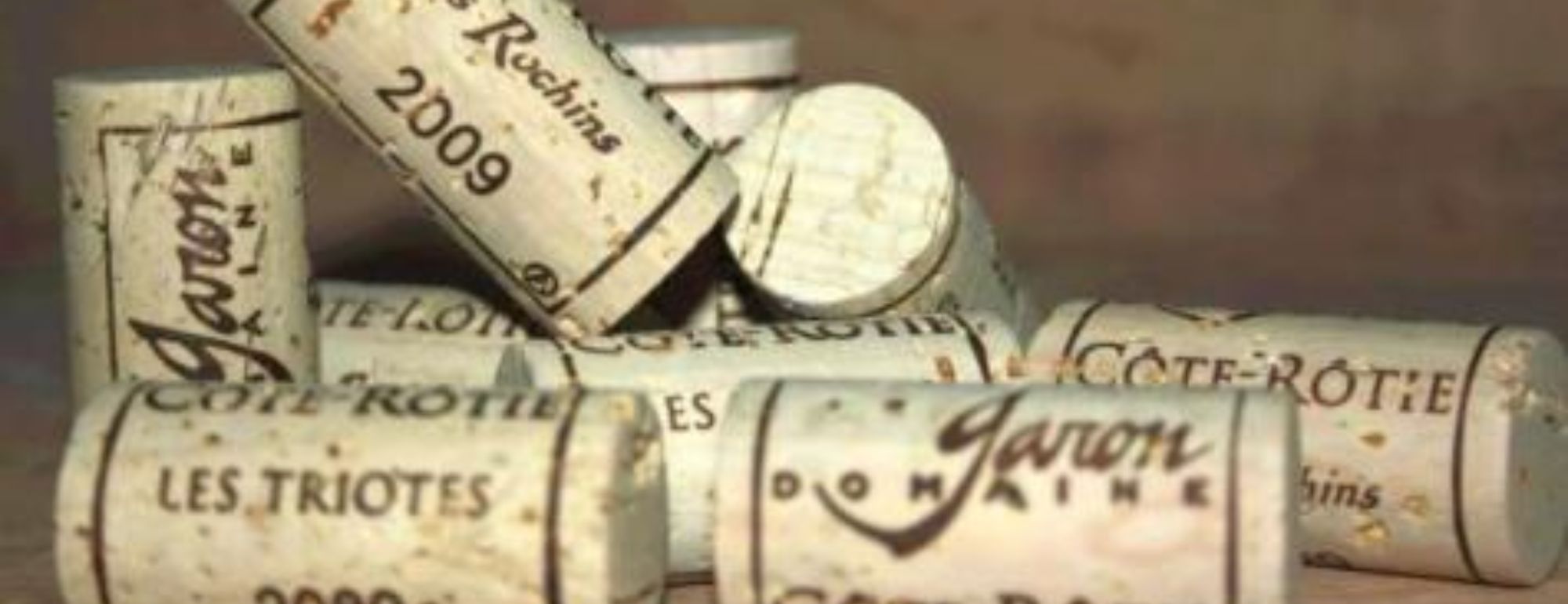 domaine garon ampuis