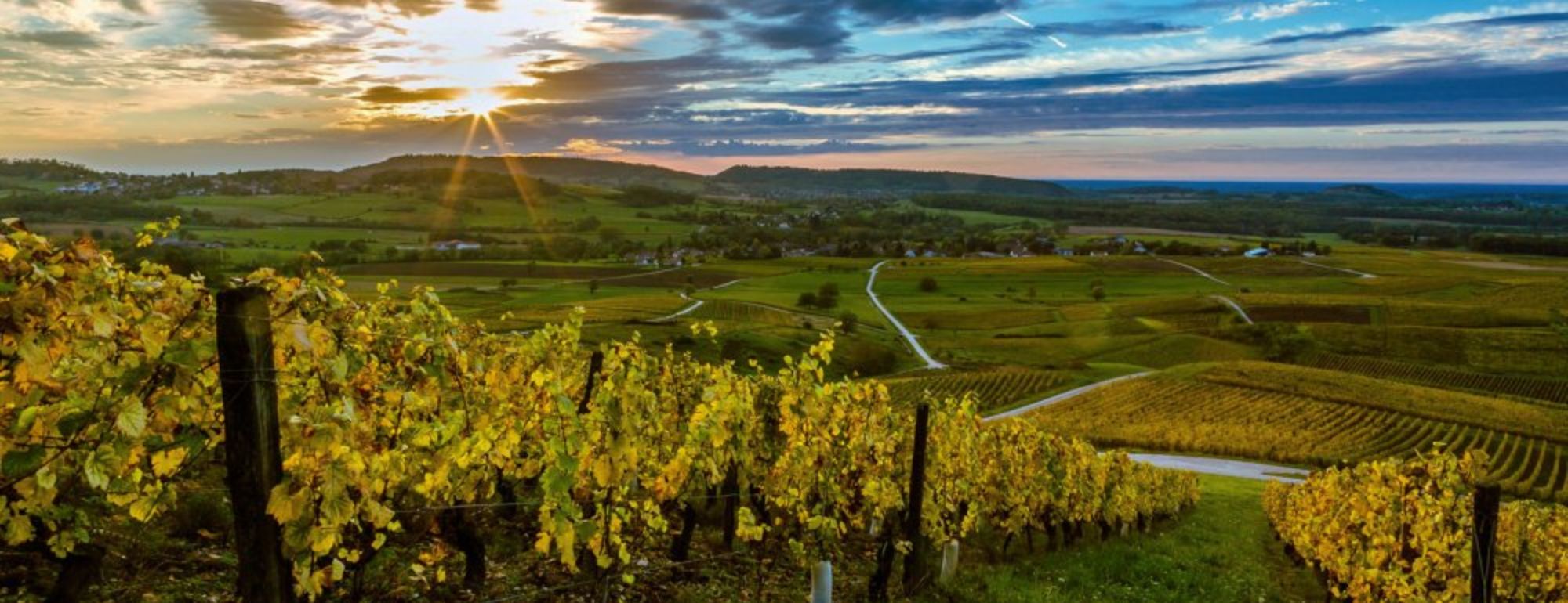 Domaine Labet Cotes du Jura 'En Chalasse' Chardonnay, France